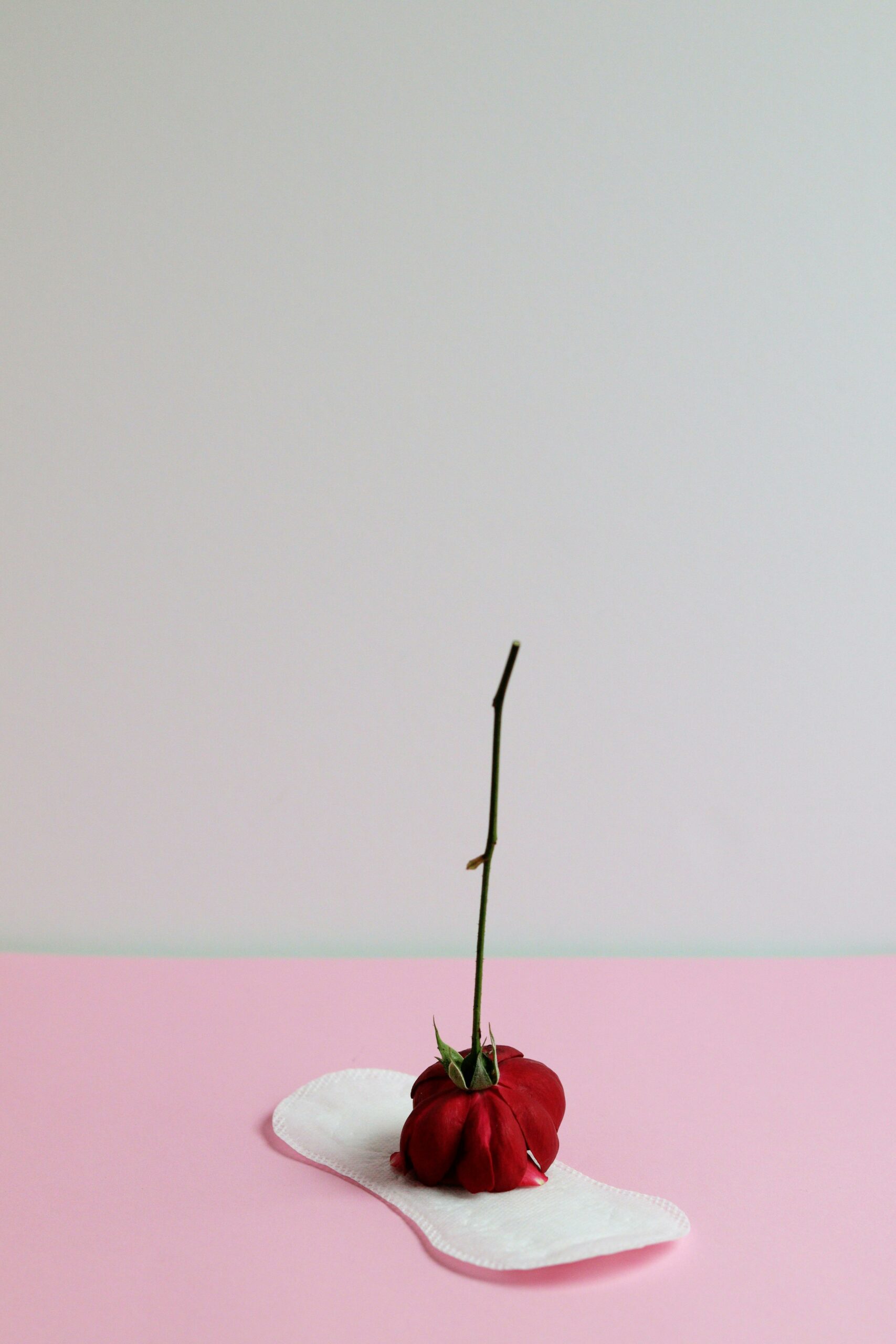 prolactine-naturopathie-bordeaux