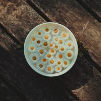 naturopathie fonctionnelle